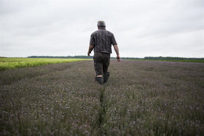 Unión de Uniones denuncia el descenso de ganaderos de ovino y caprino en un 7% durante el último año