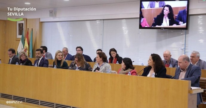 Pleno de la Diputación de Sevilla
