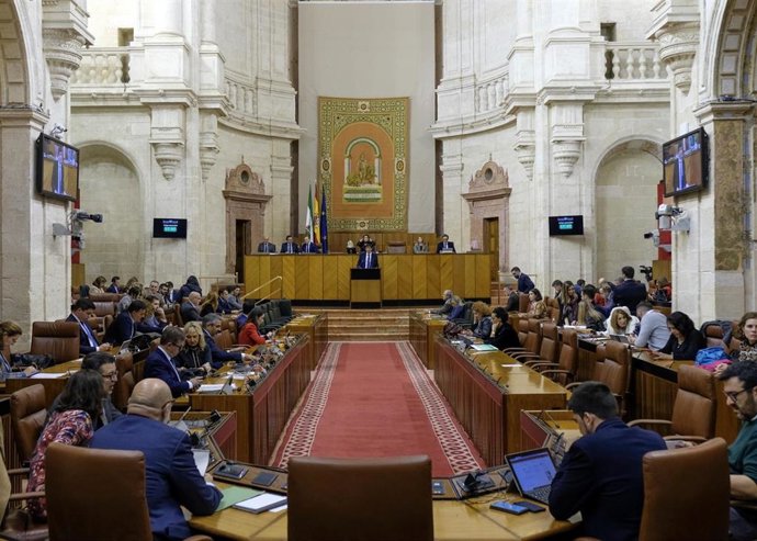 El Pleno del Parlamento andaluz