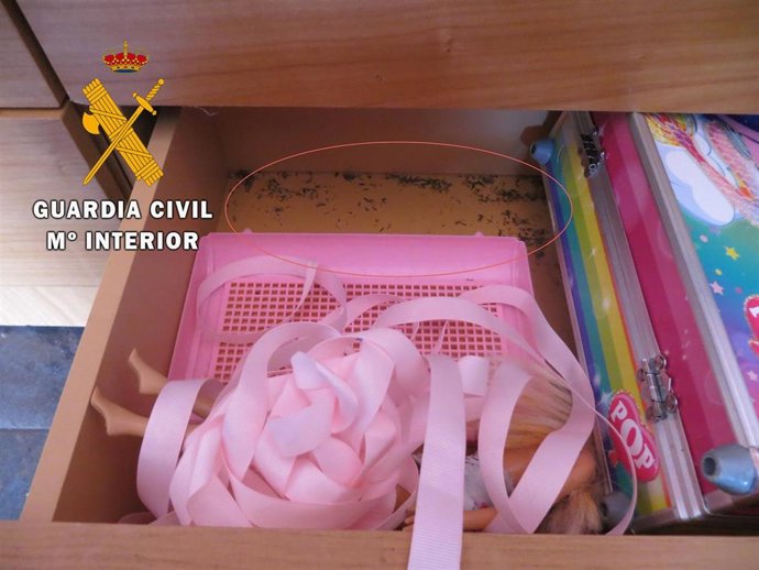 Restos de marihuana localizados por la Guardia Civil en la mesita de noche de un menor en una vivienda de Roquetas de Mar (Almería)