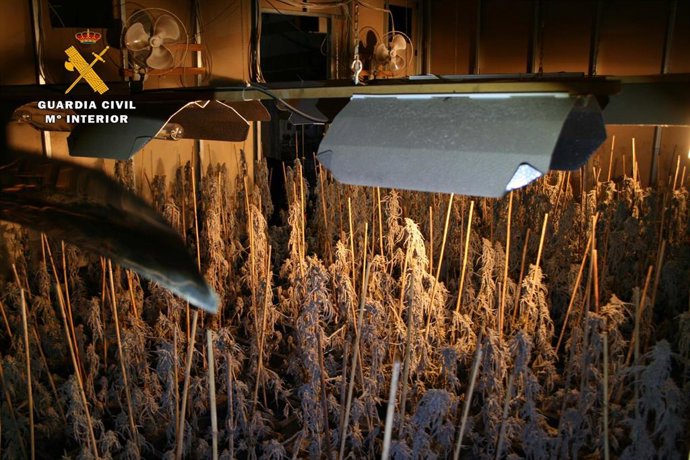 Vídeo de la noticia