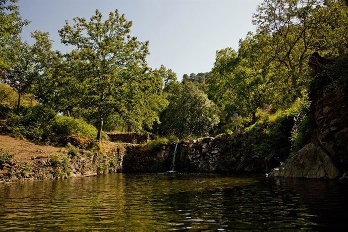 Nace la Comisión Interdepartamental de Población de la Junta para afrontar el re