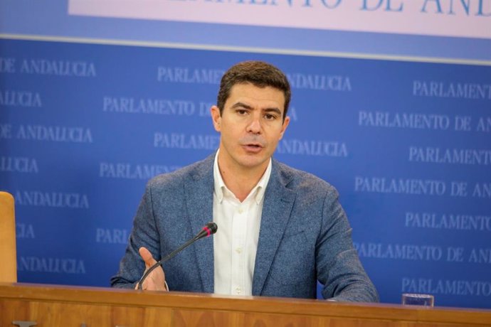 El portavoz parlamentario de Ciudadanos, Sergio Romero, en una imagen de archivo.