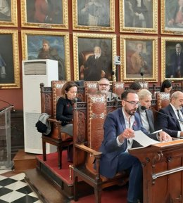 Grupo municipal de Cs en Palma