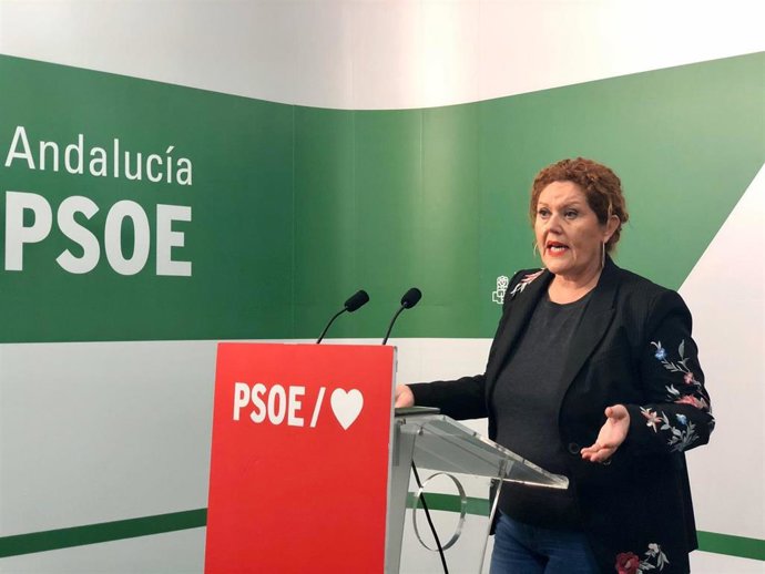 La secretaria de Organización del PSOE de Cádiz, Araceli Maese, en rueda de prensa.