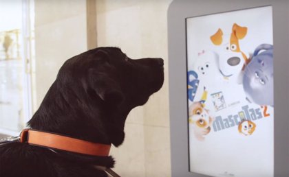 Mascotas lanza una campaña para animales con motivo de su estreno en DVD, Blu-Ray, y 4K UHD