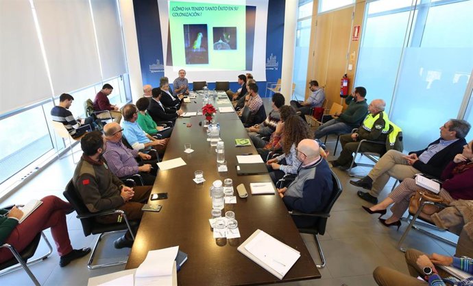 Reunión para coordinar una actuación conjunta de los municipios para solventar el problema de las cotorras argentinas