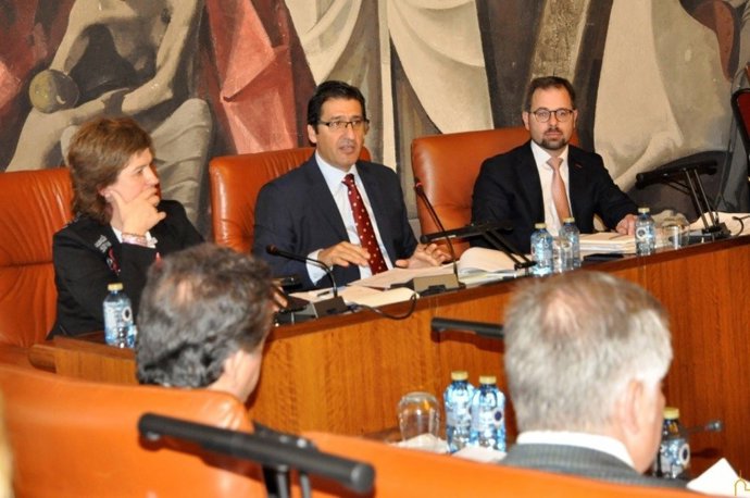 Pleno en la Diputación de Ciudad Real