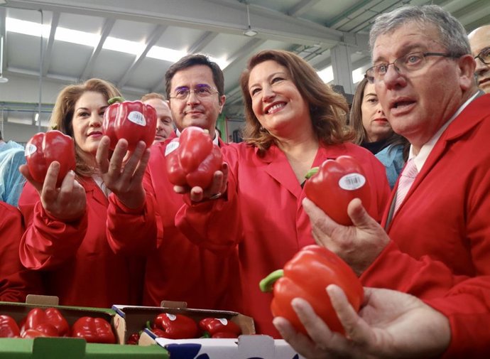 Almería.-Crespo llama a "planificar" la producción agrícola para evitar desequil