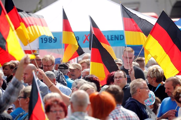 MIembros del partido de extrema derecha Alternativa por Alemania (Afd)