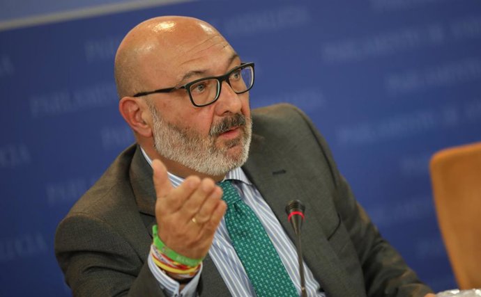 El portavoz del grupo parlamentario Vox, Alejandro Hernández.