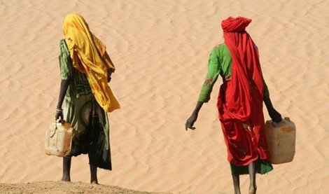 Cooperación y Desarrollo