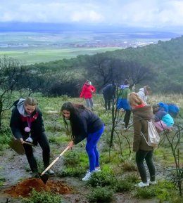 Vlountarios de Natura 2000 siembran plantones de encina en La Sierrilla de Cáceres