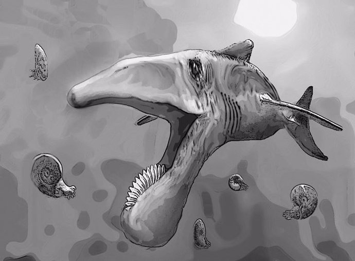 Fósil de pez gigante con grandes dientes de sierra aparece en Rusia