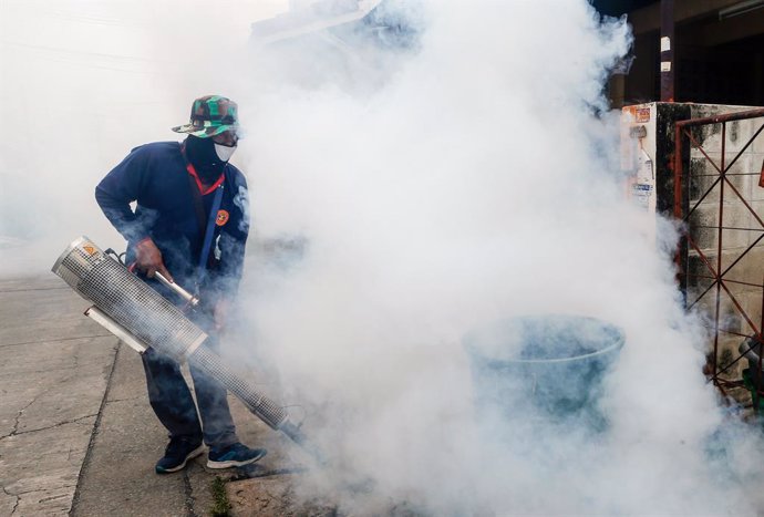 Filipinas.- Unas 1.500 personas han muerto este año por dengue en Filipinas