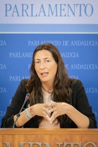 PP-A acusa al PSOE-A de "reventar y boicotear" la comisión de investigación de la Faffe