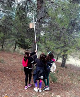 Escolares colocan 160 cajas nido para ave insectívoras en el entorno del Caminito del Rey