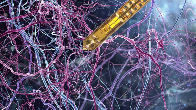 Ilustración de la pequeña aguja en el tejido cerebral