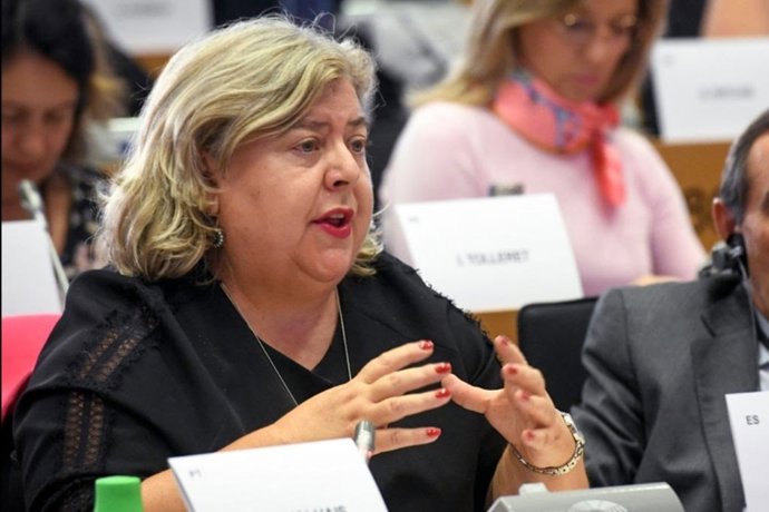 Eurodiputada Clara Aguilera (PSOE) tacha de "fracaso" la primera licitación de a