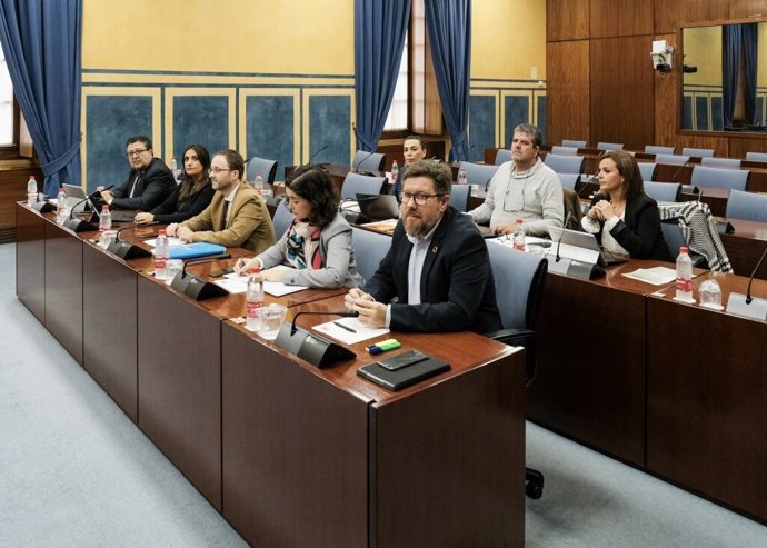 Comisión de investigación de la Fundación Andaluza Fondo de Formación y Empleo.