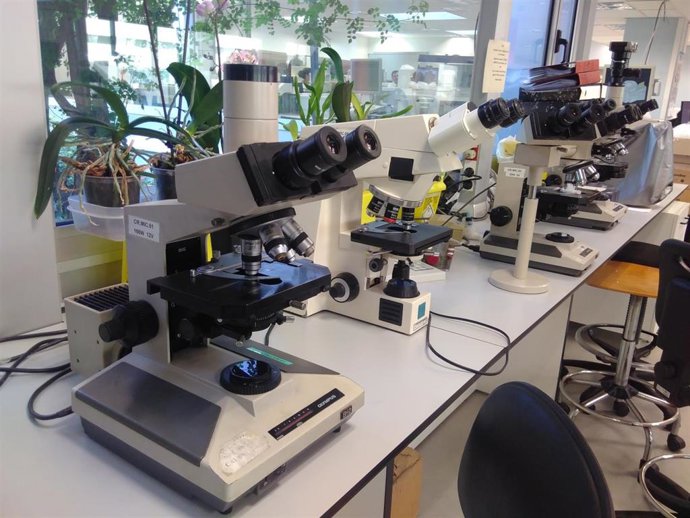 Laboratori de l'Hospital Vall d'Hebron de Barcelona.