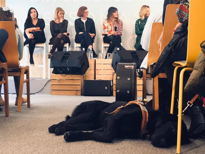 Acto organizado por las delegaciones españolas en el Parlamento Europeo de Socialistas (Socialists & Democrats), Populares (European People's Party) y Ciudadanos (Renew Europe) en Madrid por el Día Europeo de las Personas coon Discapacidad