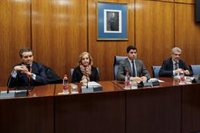 Cuatro extrabajadores de la Faffe rechazan declarar ante la comisión de investigación del Parlamento