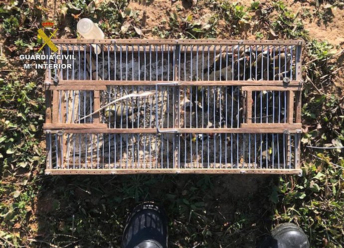 La Guardia Civil detiene in fraganti a tres cazadores furtivos de aves porotegidas en Cartagena