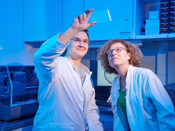 Tobias Claff y la Dra. Christa Müller de la Universidad de Bonn están mirando una placa sandwich de vidrio en la que se forman los cristales del receptor de opioides.
