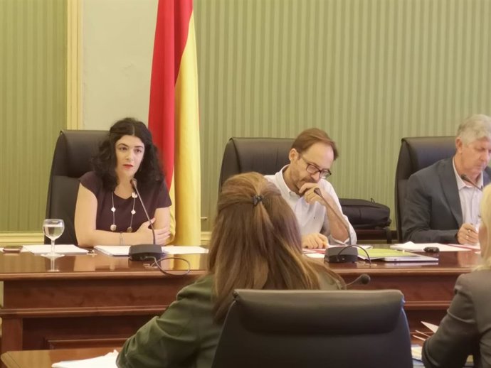 La consellera de Administraciones Públicas y Modernización, Isabel Castro, en una comparecencia.