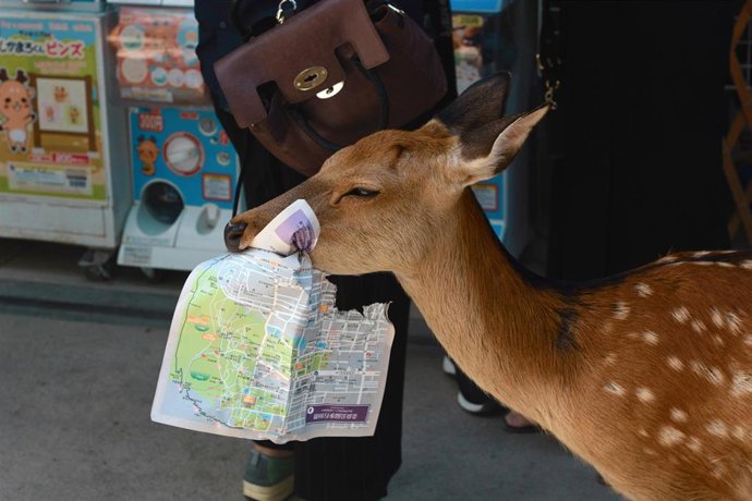 El Teatre Lliure ahonda en "las contradicciones" del turismo en la obra 'Reiseführer'