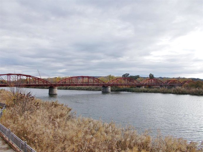 Puente Reina Sofía de Talavera de la Reina.