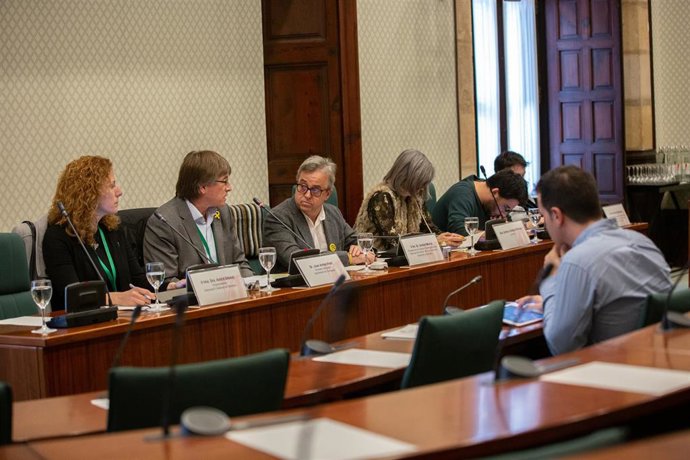 Sesión de la comisión de investigación del Parlament sobre la aplicación del 155 el 3 de diciembre de 2019.