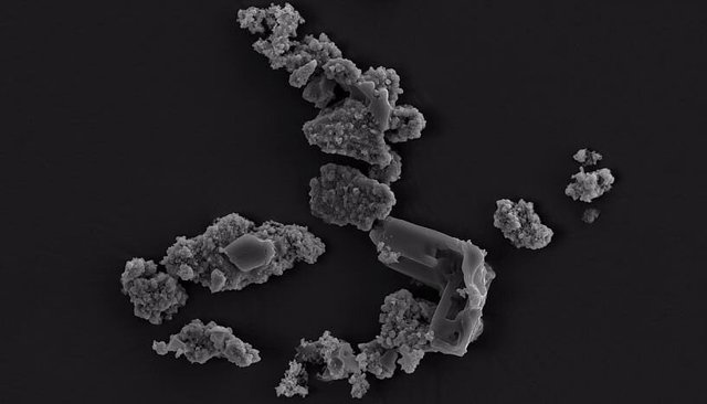 Fragmentos de polvo de meteorito colonizados y bioprocesados por M. Sedula