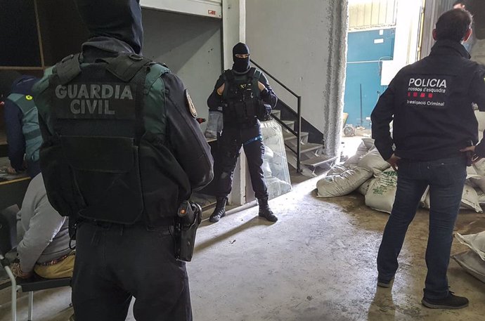 Agents de Mossos d'Esquadra i Gurdia Civil en un operatiu conjunt contra el trfic de droga.