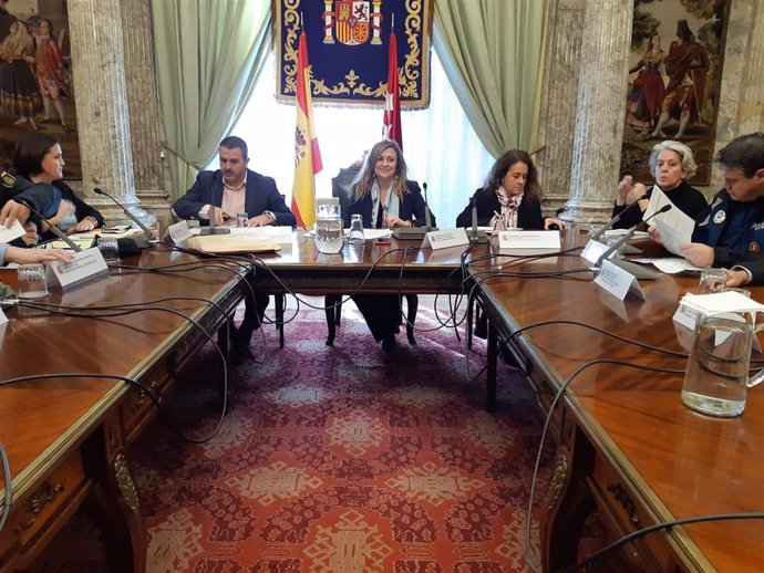 La delegada del Gobierno en la Comunidad de Madrid, María Paz García-Vera, ha presidido hoy la primera reunión de coordinación del dispositivo de seguridad que se prevé para este periodo navideño.