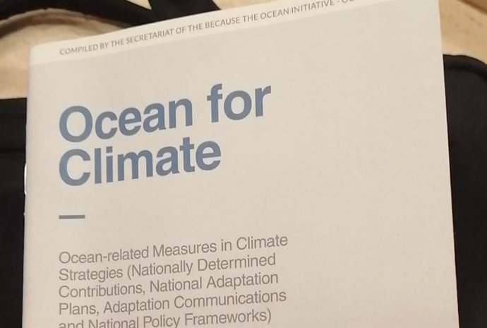 COP25.- Alberto de Mónaco: "No puede haber ninguna acción para luchar contra el 
