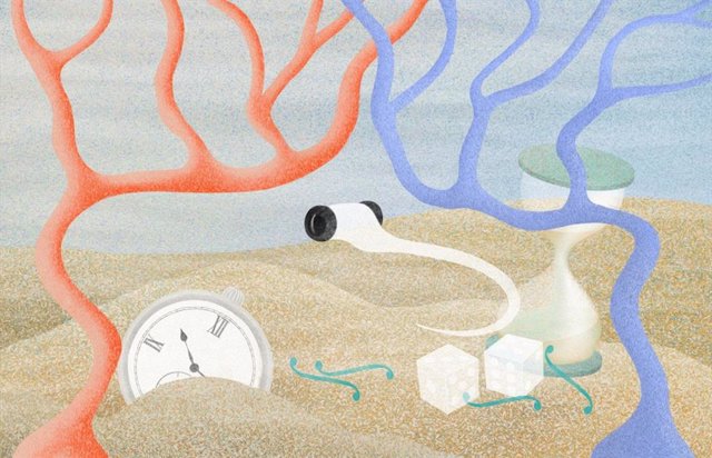 Investigadores siguen el proceso de toma de decisiones a través del cerebro de p