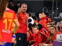 Carlos Viver: "No creo que se pueda pedir más"