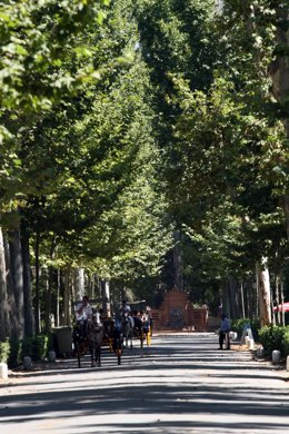 Una imagen del Parque Maria Luisa en Sevilla