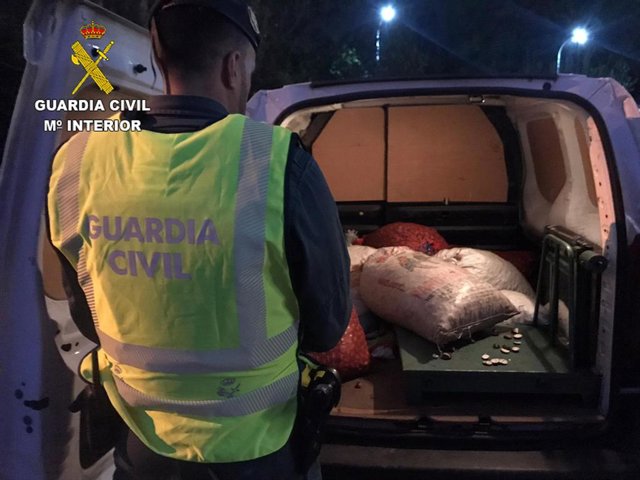 Castañas que ha recuperado la Guardia Civil en la comarca de El Bierzo.