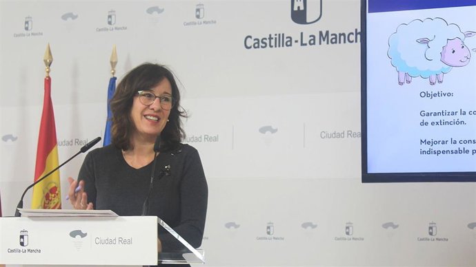 La consejera de Igualdad y portavoz del Gobierno de Castilla-La Mancha, Blanca Fernández.