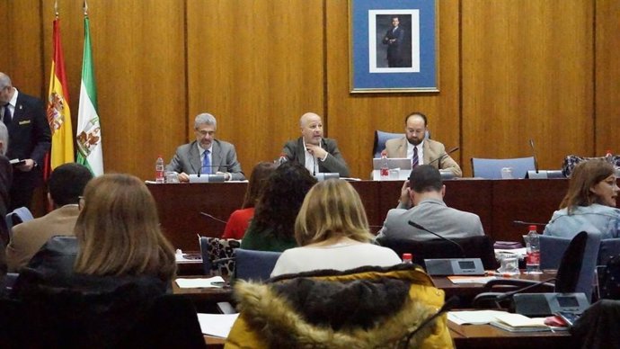 Javier Imbroda en la Comisión de Educación