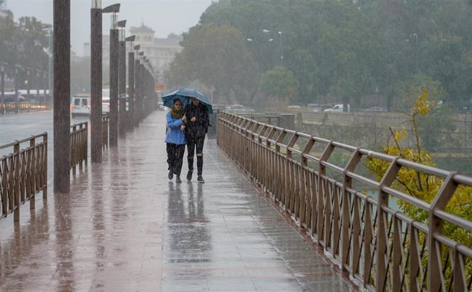 Peatones bajo la lluvia  por el Puente de los Remedios  en Sevilla a 22 de noviembre del 2019