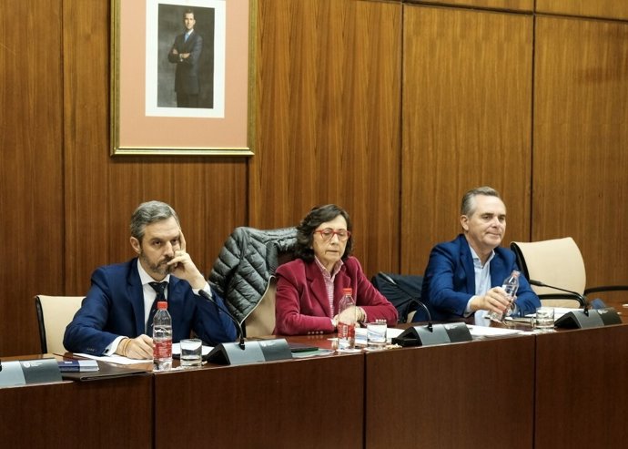 El consejero de Hacienda, Juan Bravo, este miércoles durante su comparecencia en comisión parlamentaria.