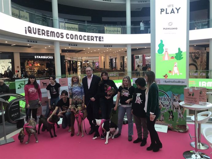 La Fundación El Arca de Noé y el Centro Comercial Plenilunio han unido sus fuerzas para potenciar la adopción de perros y gatos
