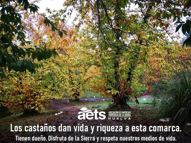 Cartel de la campaña de la AETS para concienciar sobre la importancia de respetar el  castañar.