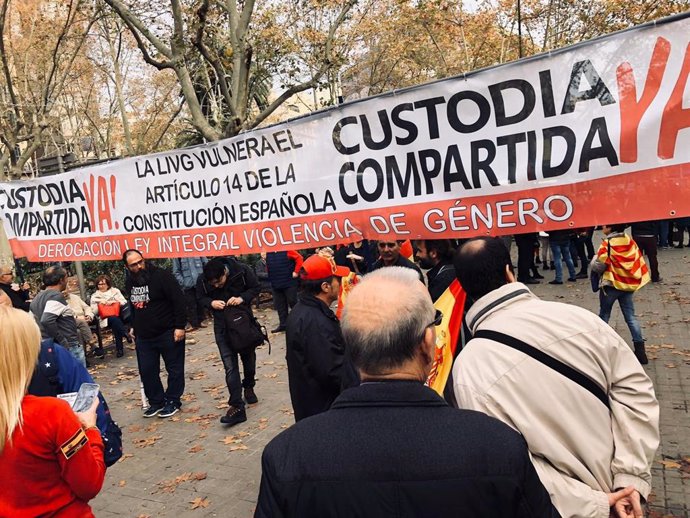 Pancarta contra la Ley de Violencia de Género, durante la manifestación en Barcelona a favor del Día de la Constitución, en la plaza Urquinaona el 6 de diciembre de 2019