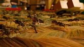 Foto: Endgame: Ant-Man tenía un terrible ejército de insectos gigantes en la batalla contra Thanos