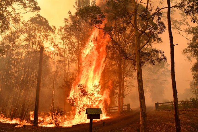 Incendis a Nova Galles del Sud